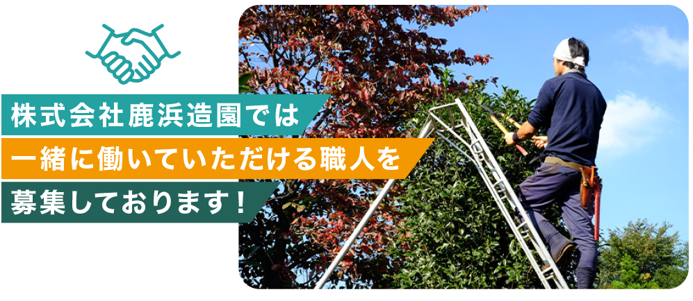 株式会社鹿浜造園では 一緒に働いていただける職人を募集しております！